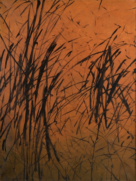 Jiří Voves - Pathways