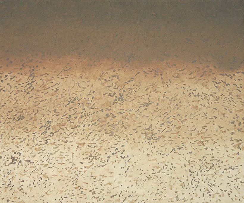 Jiří Voves - Rooks