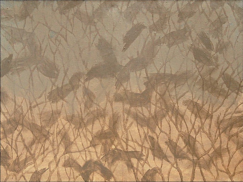 Jiří Voves - Rooks