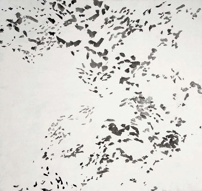 Jiří Voves - Rooks