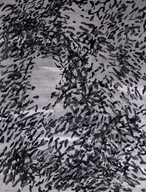 Jiří Voves - Rooks