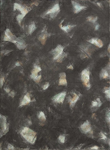 Jiří Voves - Rooks