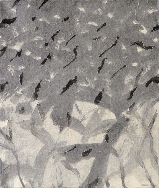 Jiří Voves - Rooks