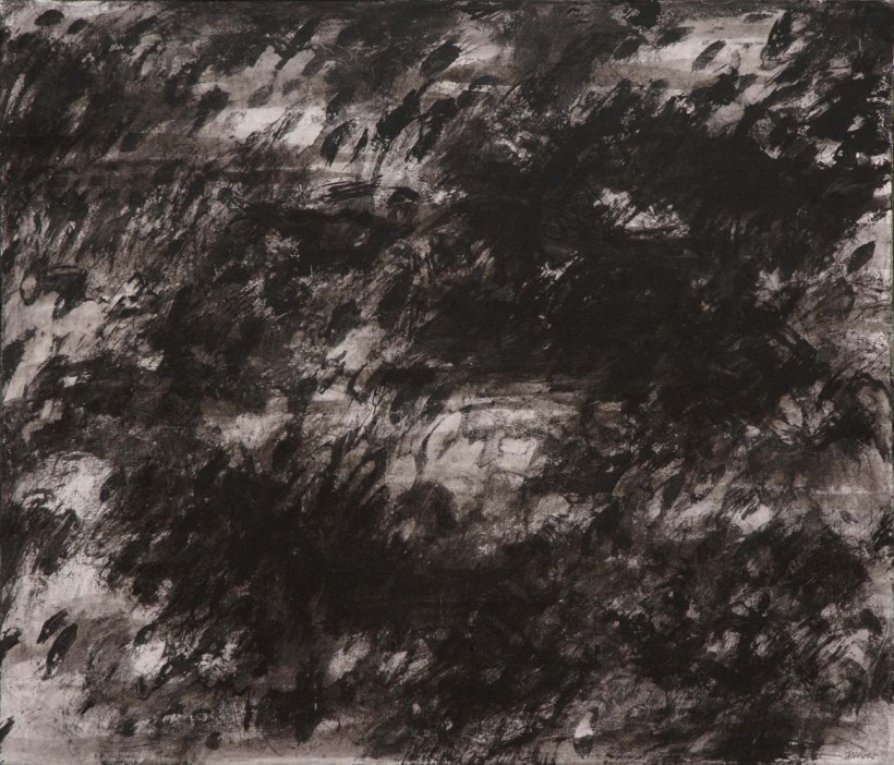 Jiří Voves - Rooks