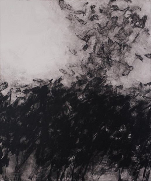 Jiří Voves - Rooks