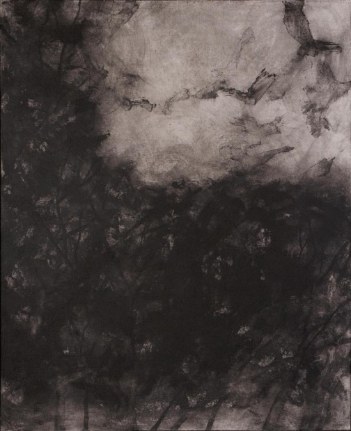 Jiří Voves - Rooks