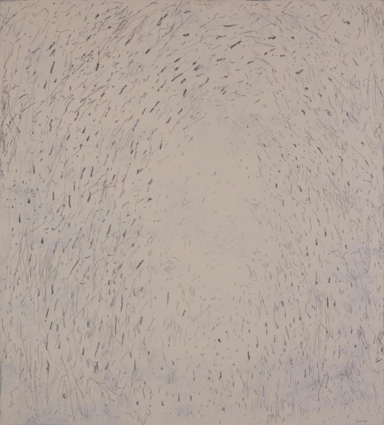Jiří Voves - Rooks
