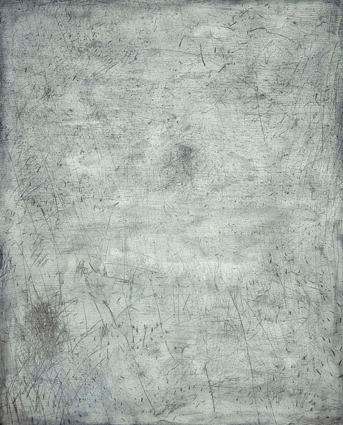 Jiří Voves - Rooks