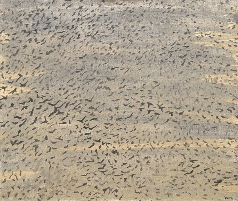 Jiří Voves - Rooks