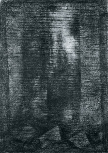 Jiří Voves - Charcoal